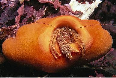 3v3团战VR动作游戏《勇拳冲锋》7＆18推出